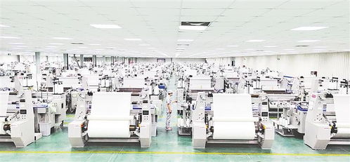 激活科技賦能新引擎——我市以創(chuàng)新驅(qū)動助力新材料科技高質(zhì)量發(fā)展綜述